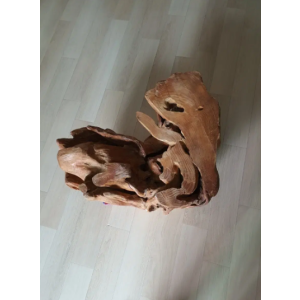 나무뿌리 괴목