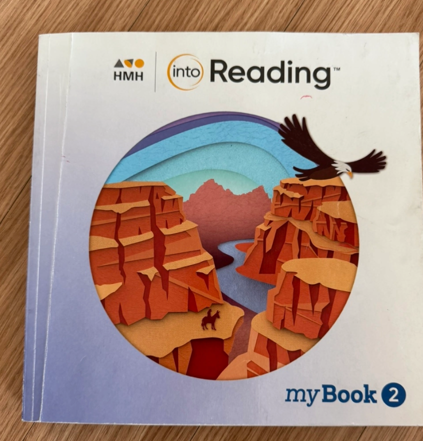 into reading 4.2