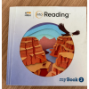 into reading 4.2