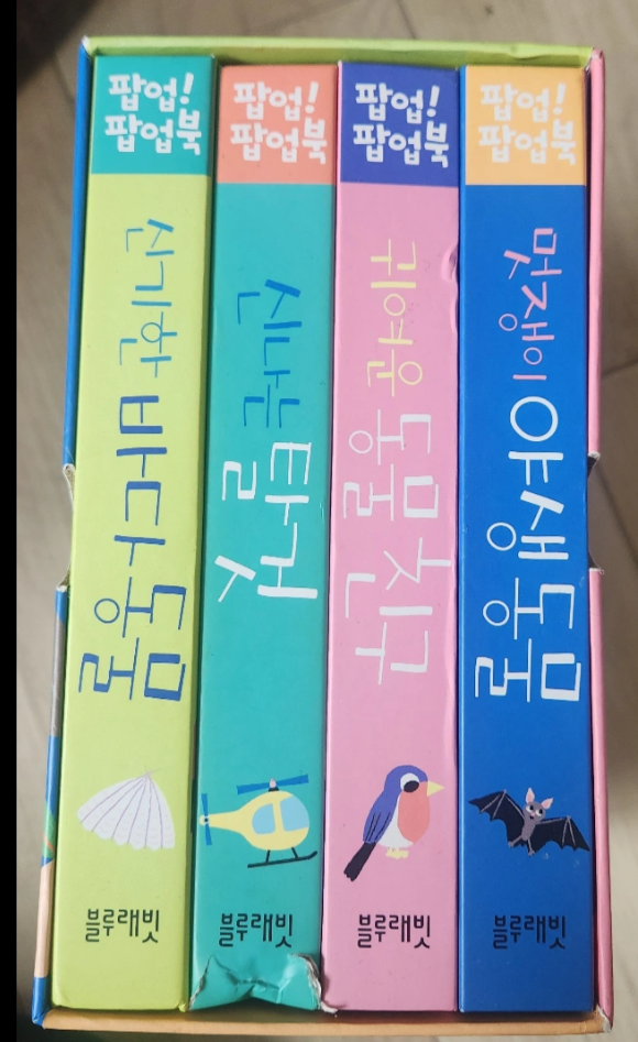 블루래빗 팝업북 세트