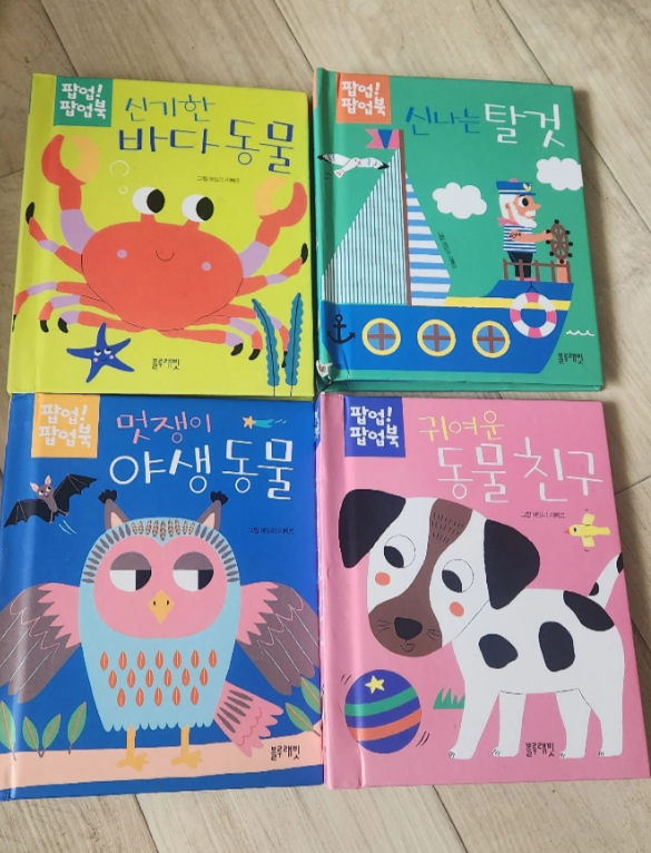 블루래빗 팝업북 세트