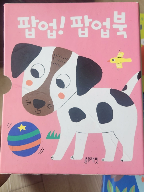 블루래빗 팝업북 세트