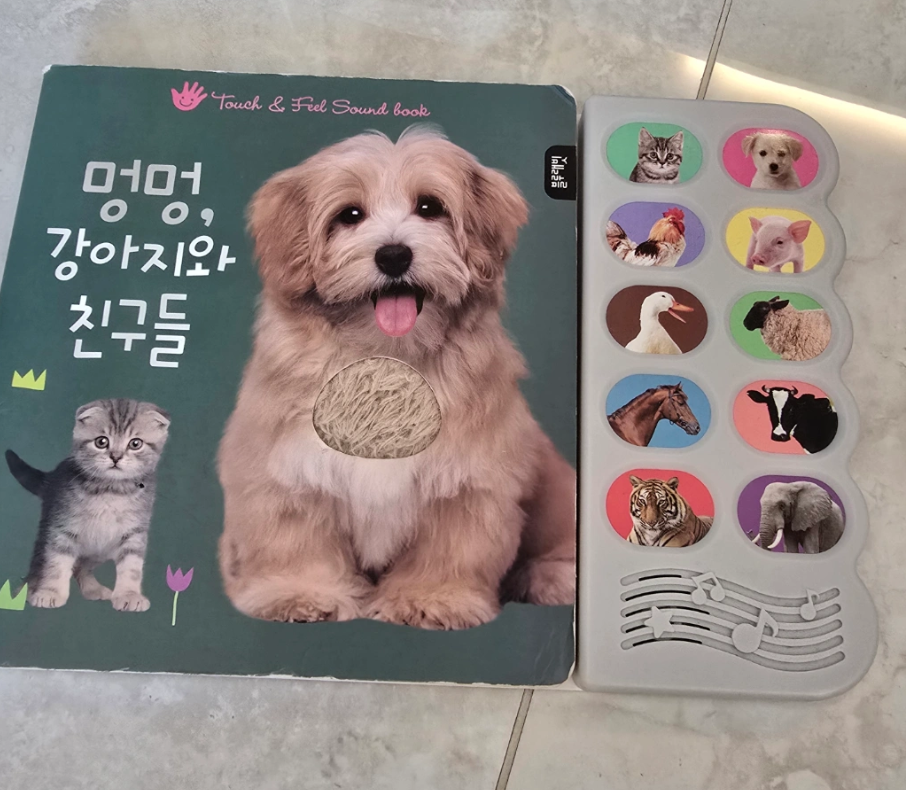 블루래빗 사운드북