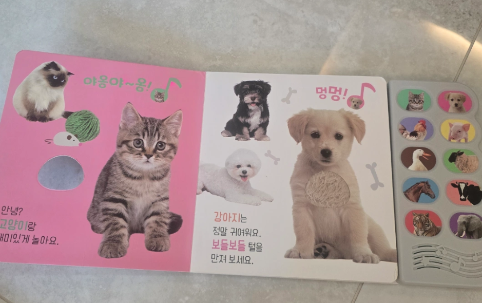 블루래빗 사운드북
