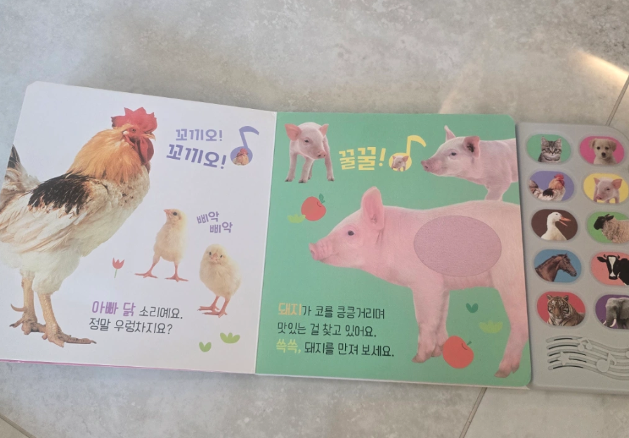블루래빗 사운드북
