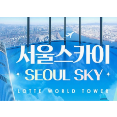 서울스카이 입장권