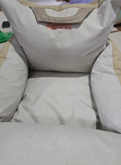 올치 애견카시트팔아요